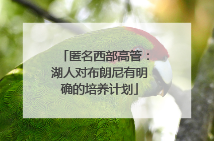匿名西部高管：湖人对布朗尼有明确的培养计划
