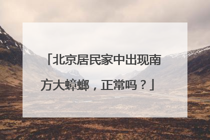 北京居民家中出现南方大蟑螂，正常吗？
