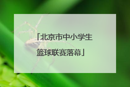 北京市中小学生篮球联赛落幕