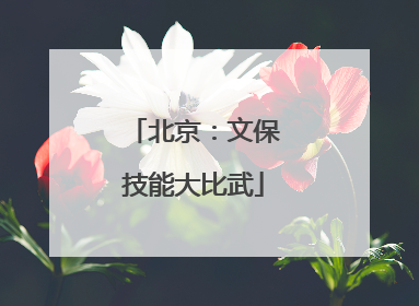 北京：文保技能大比武