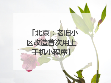 北京：老旧小区改造首次用上手机小程序