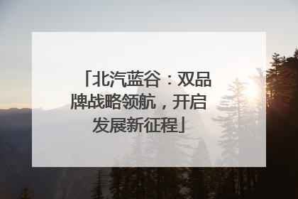 北汽蓝谷：双品牌战略领航，开启发展新征程
