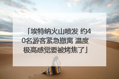 埃特纳火山喷发 约40名游客紧急撤离 温度极高感觉要被烤焦了