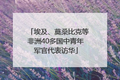 埃及、莫桑比克等非洲40多国中青年军官代表访华