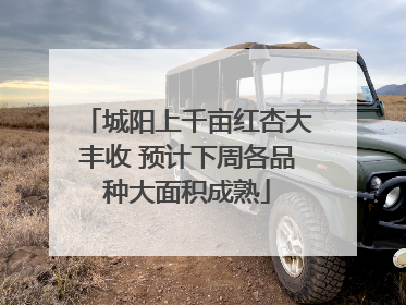 城阳上千亩红杏大丰收 预计下周各品种大面积成熟