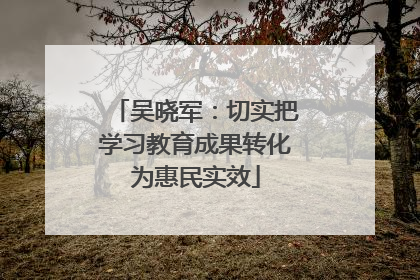 吴晓军：切实把学习教育成果转化为惠民实效
