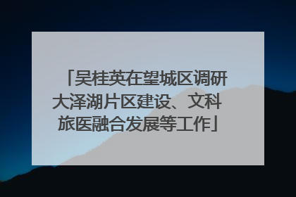 吴桂英在望城区调研大泽湖片区建设、文科旅医融合发展等工作