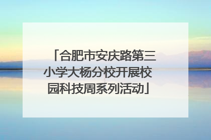 合肥市安庆路第三小学大杨分校开展校园科技周系列活动