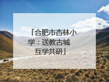 合肥市杏林小学：送教古城 互学共研
