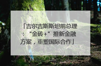 吉尔吉斯斯坦前总理：“金砖+”推新金融方案，重塑国际合作