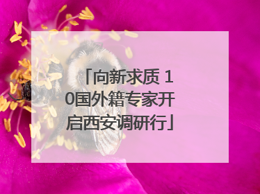 向新求质 10国外籍专家开启西安调研行