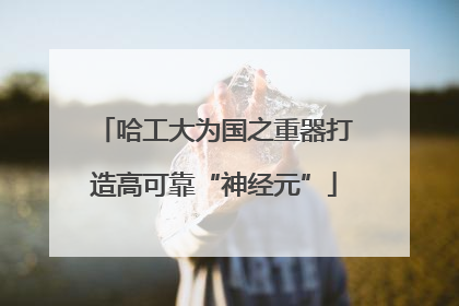 哈工大为国之重器打造高可靠“神经元”