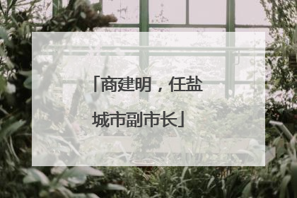 商建明，任盐城市副市长