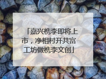 嘉兴槜李即将上市，净相村开共富工坊做槜李文创