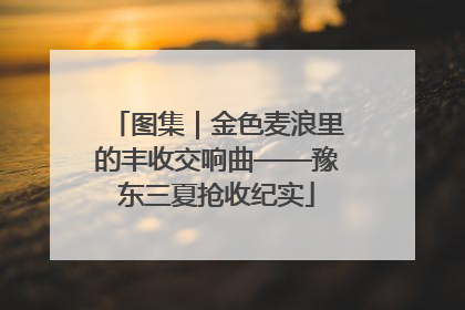 图集｜金色麦浪里的丰收交响曲——豫东三夏抢收纪实