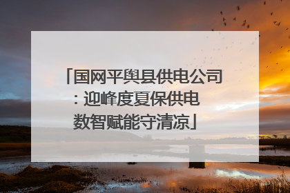 国网平舆县供电公司：迎峰度夏保供电  数智赋能守清凉