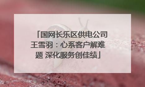 国网长乐区供电公司王雪羽：心系客户解难题 深化服务创佳绩