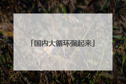 国内大循环强起来