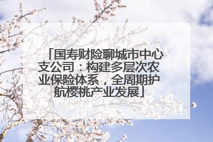 国寿财险聊城市中心支公司：构建多层次农业保险体系，全周期护航樱桃产业发展