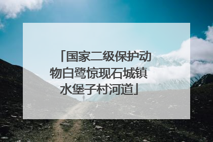 国家二级保护动物白鹭惊现石城镇水堡子村河道