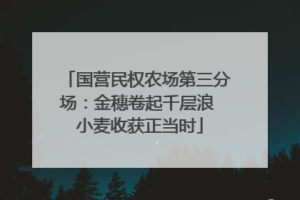 国营民权农场第三分场：金穗卷起千层浪 小麦收获正当时