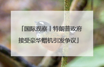 国际观察丨特朗普政府接受豪华赠机引发争议