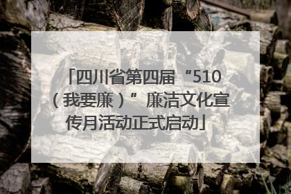四川省第四届“510（我要廉）”廉洁文化宣传月活动正式启动