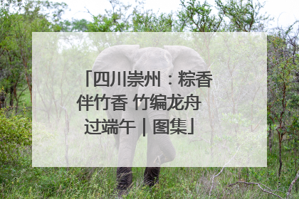 四川崇州：粽香伴竹香 竹编龙舟过端午｜图集