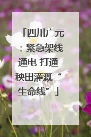四川广元：紧急架线通电 打通秧田灌溉“生命线”