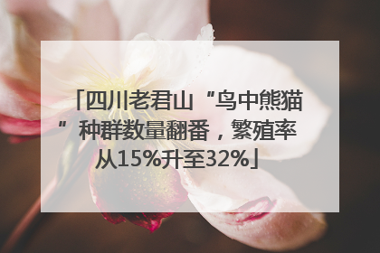 四川老君山“鸟中熊猫”种群数量翻番，繁殖率从15%升至32%