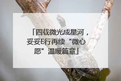 四载微光成星河，妥妥E行再续“微心愿”温暖篇章