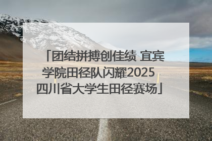 团结拼搏创佳绩 宜宾学院田径队闪耀2025四川省大学生田径赛场