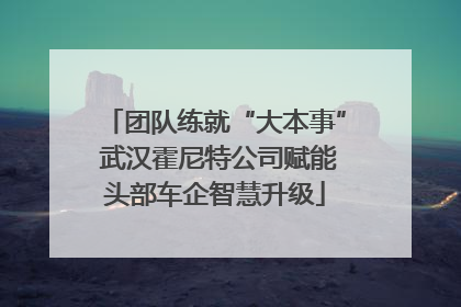 团队练就“大本事” 武汉霍尼特公司赋能头部车企智慧升级
