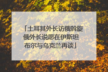 土耳其外长访俄斡旋 俄外长说愿在伊斯坦布尔与乌克兰再谈