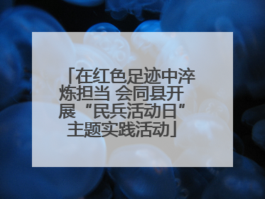 在红色足迹中淬炼担当 会同县开展“民兵活动日”主题实践活动