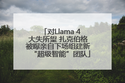 对Llama 4大失所望 扎克伯格被曝亲自下场组建新“超级智能”团队