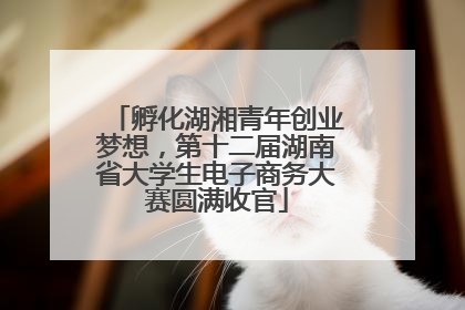 孵化湖湘青年创业梦想，第十二届湖南省大学生电子商务大赛圆满收官