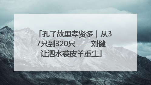 孔子故里孝贤多｜从37只到320只——刘健让泗水裘皮羊重生
