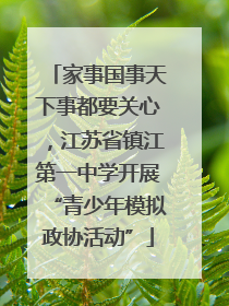 家事国事天下事都要关心，江苏省镇江第一中学开展“青少年模拟政协活动”