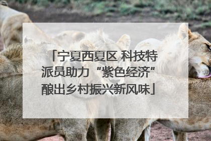 宁夏西夏区 科技特派员助力“紫色经济”酿出乡村振兴新风味