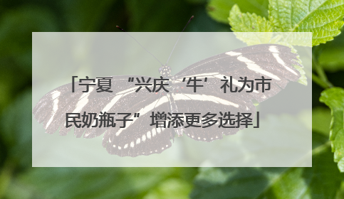 宁夏 “兴庆‘牛’礼为市民奶瓶子”增添更多选择