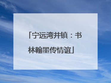 宁远湾井镇：书林翰墨传情谊