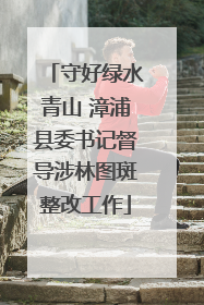 守好绿水青山 漳浦县委书记督导涉林图斑整改工作