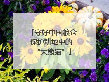 守好中国粮仓 保护耕地中的“大熊猫”