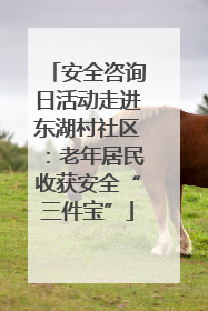 安全咨询日活动走进东湖村社区：老年居民收获安全“三件宝”