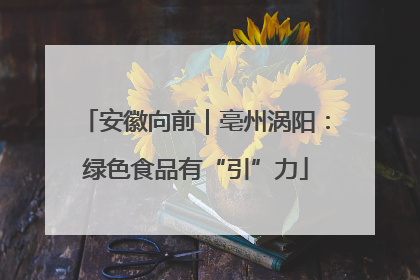安徽向前｜亳州涡阳：绿色食品有“引”力