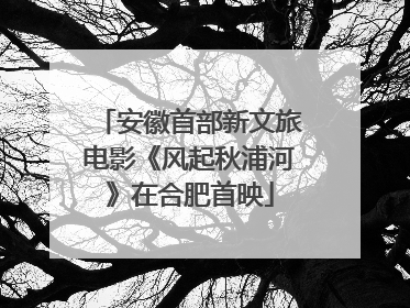 安徽首部新文旅电影《风起秋浦河》在合肥首映