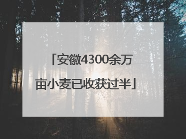 安徽4300余万亩小麦已收获过半