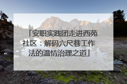 安职实践团走进西苑社区：解码六尺巷工作法的温情治理之道
