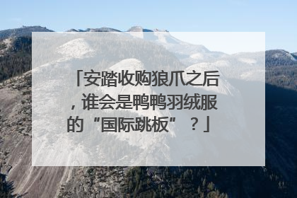 安踏收购狼爪之后，谁会是鸭鸭羽绒服的“国际跳板”？